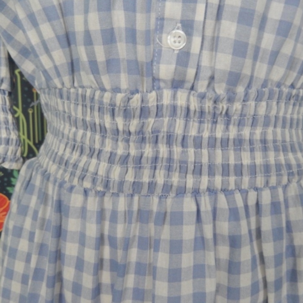 The Shirt Rochelle Behrens Brigitte Blue White Gingham Mini Dress - Picture 5 of 8